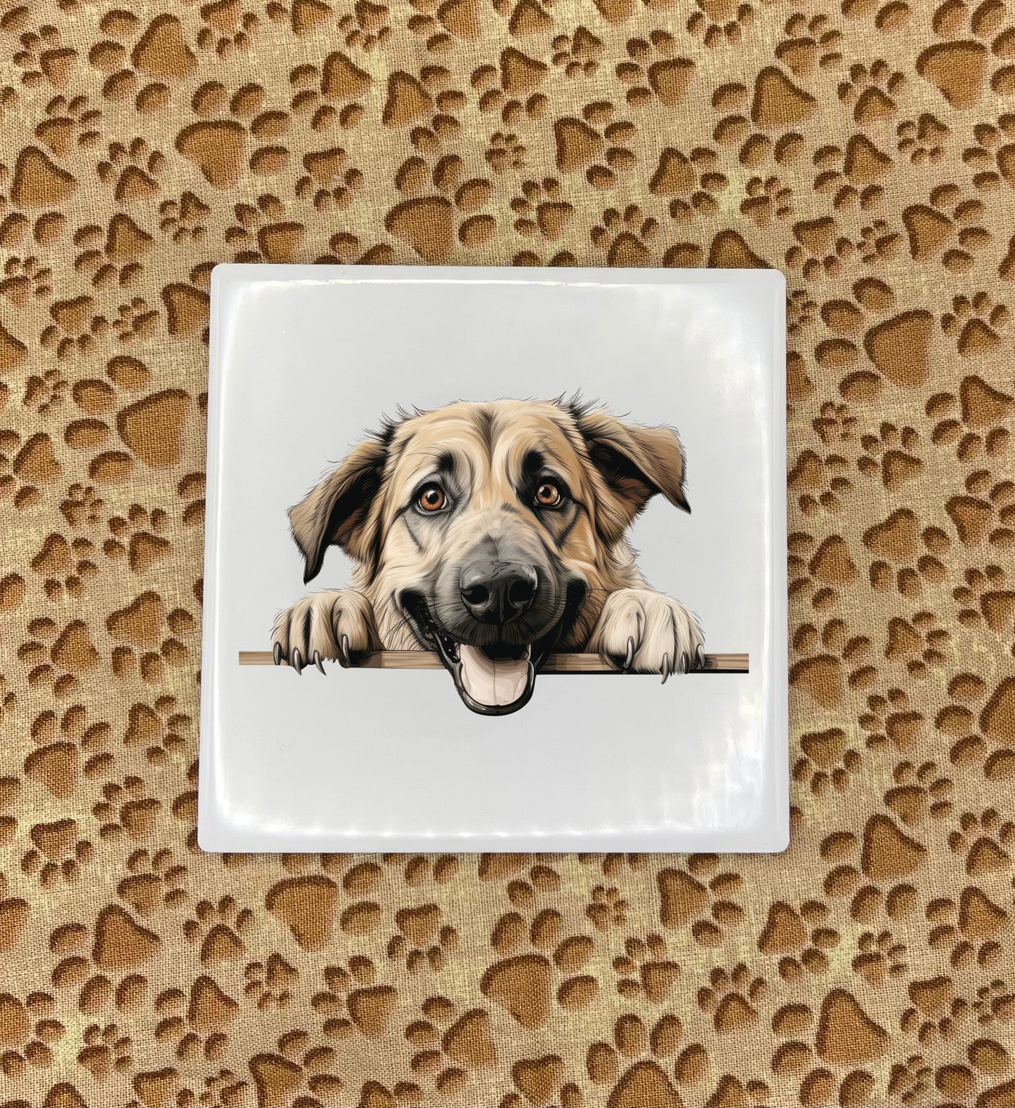 Printed Dog Car Coasters - Medium / Large Breed
