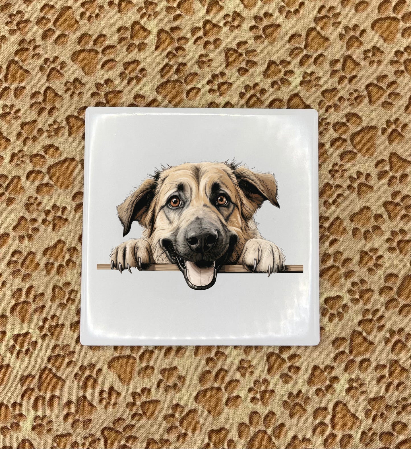 Personalized Dog Coasters - Medium / Large Breed