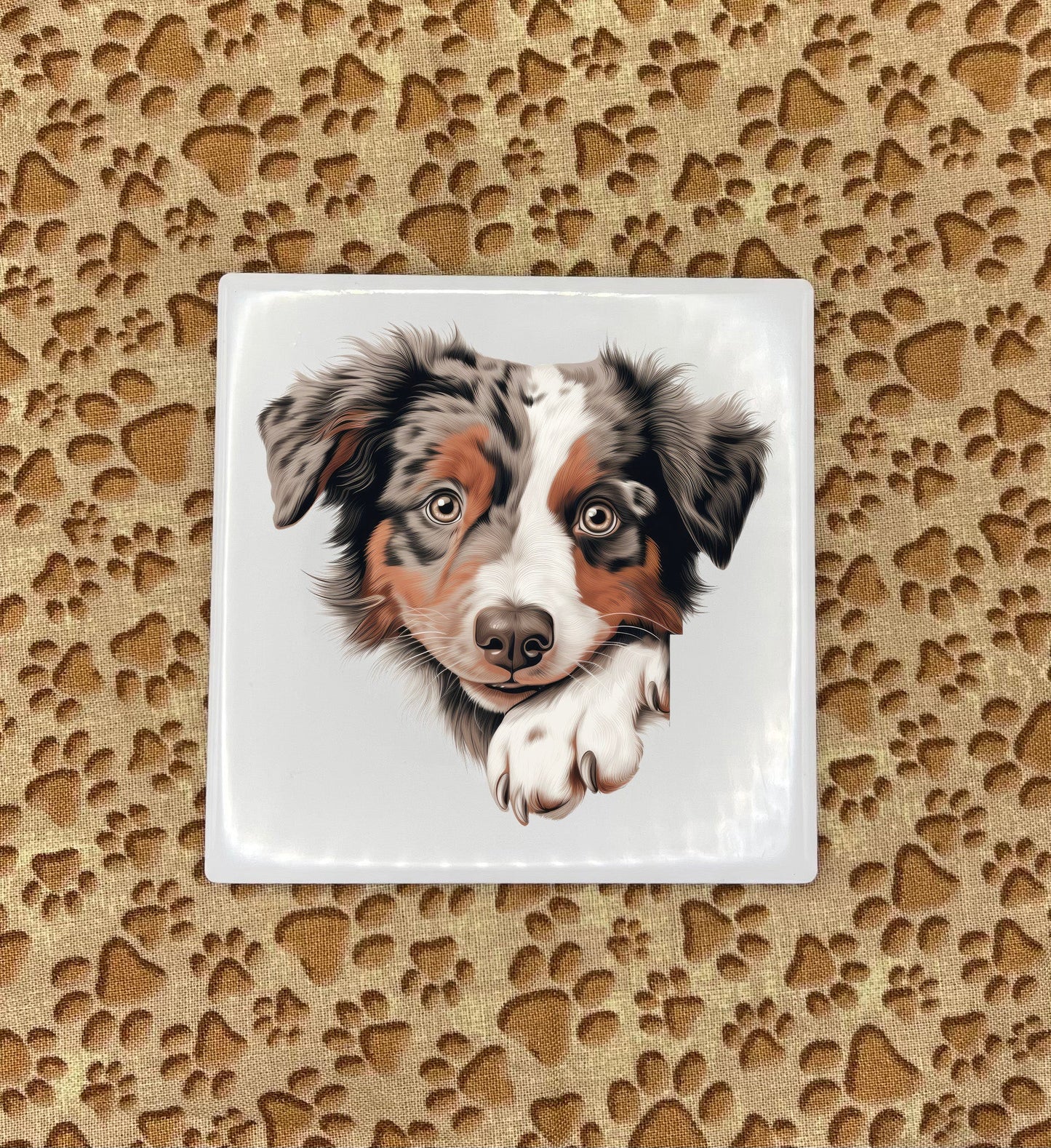 Personalized Dog Coasters - Medium / Large Breed