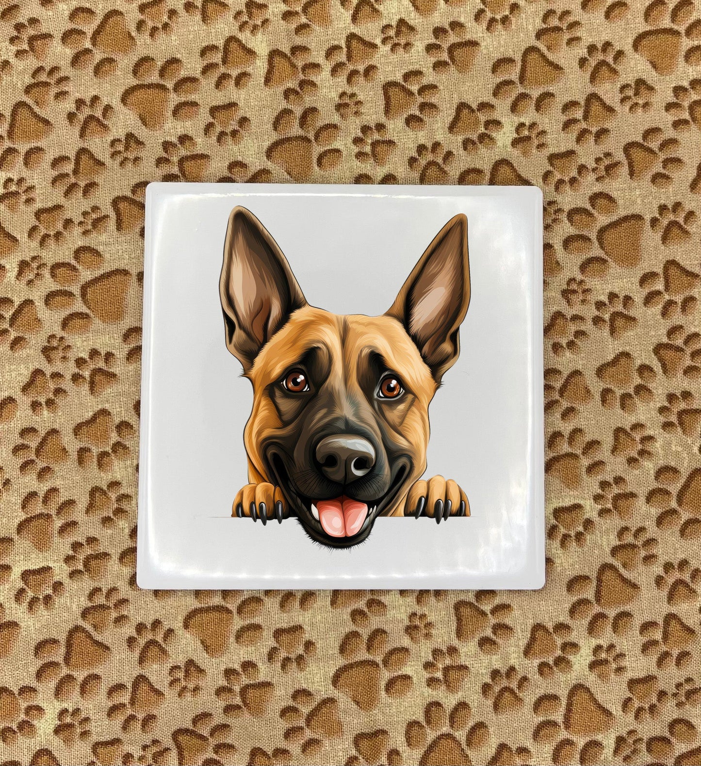 Personalized Dog Coasters - Medium / Large Breed
