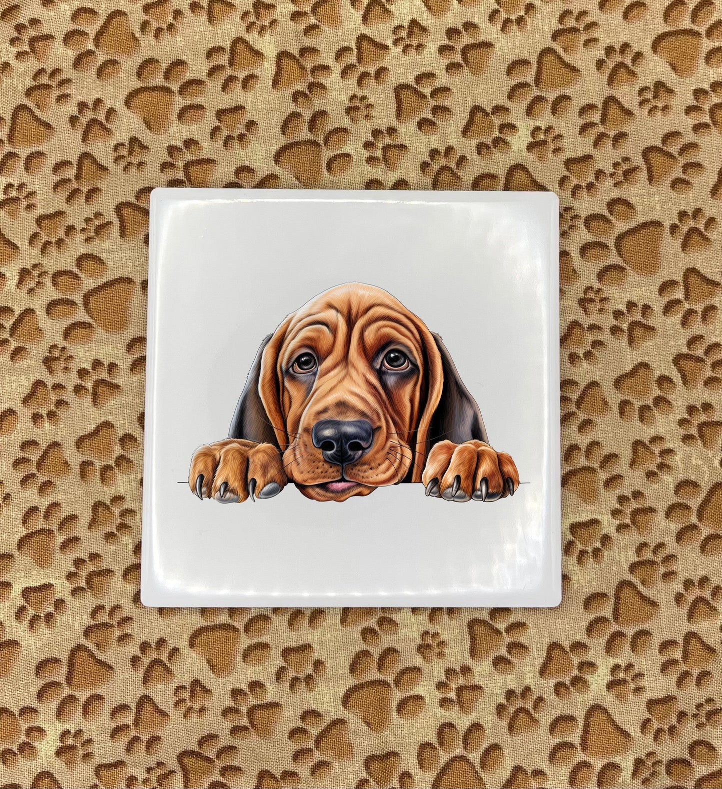 Personalized Dog Coasters - Medium / Large Breed