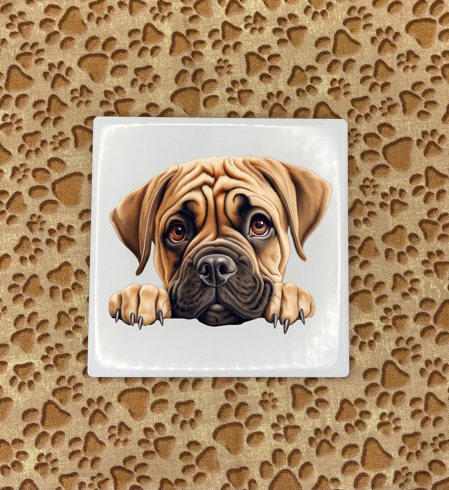 Personalized Dog Coasters - Medium / Large Breed