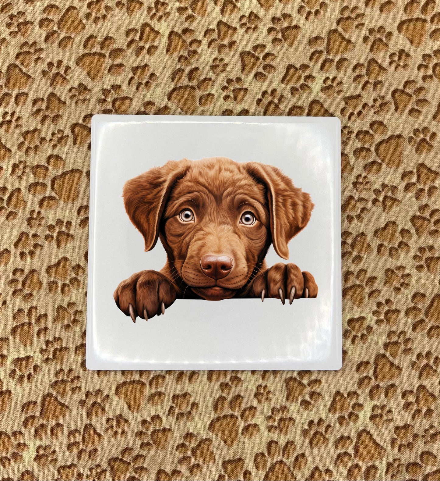 Personalized Dog Coasters - Medium / Large Breed