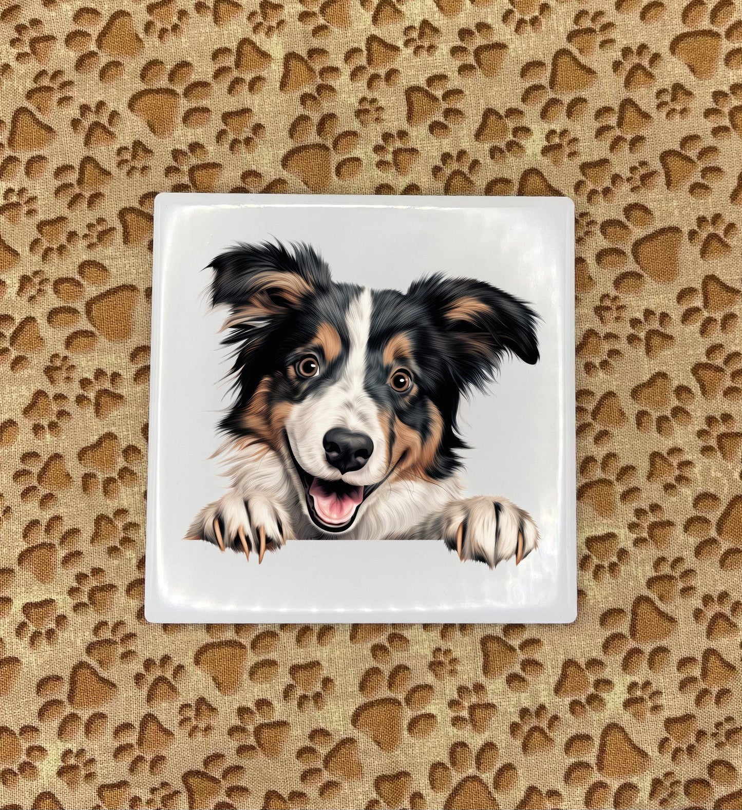 Personalized Dog Coasters - Medium / Large Breed