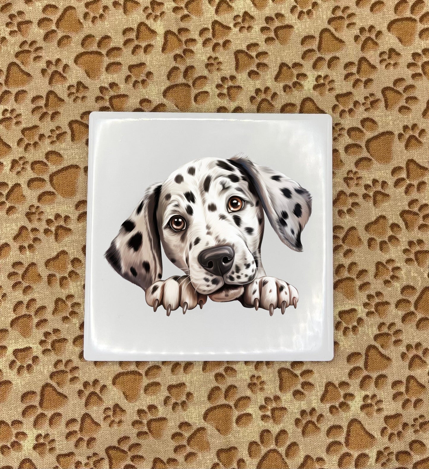 Personalized Dog Coasters - Medium / Large Breed