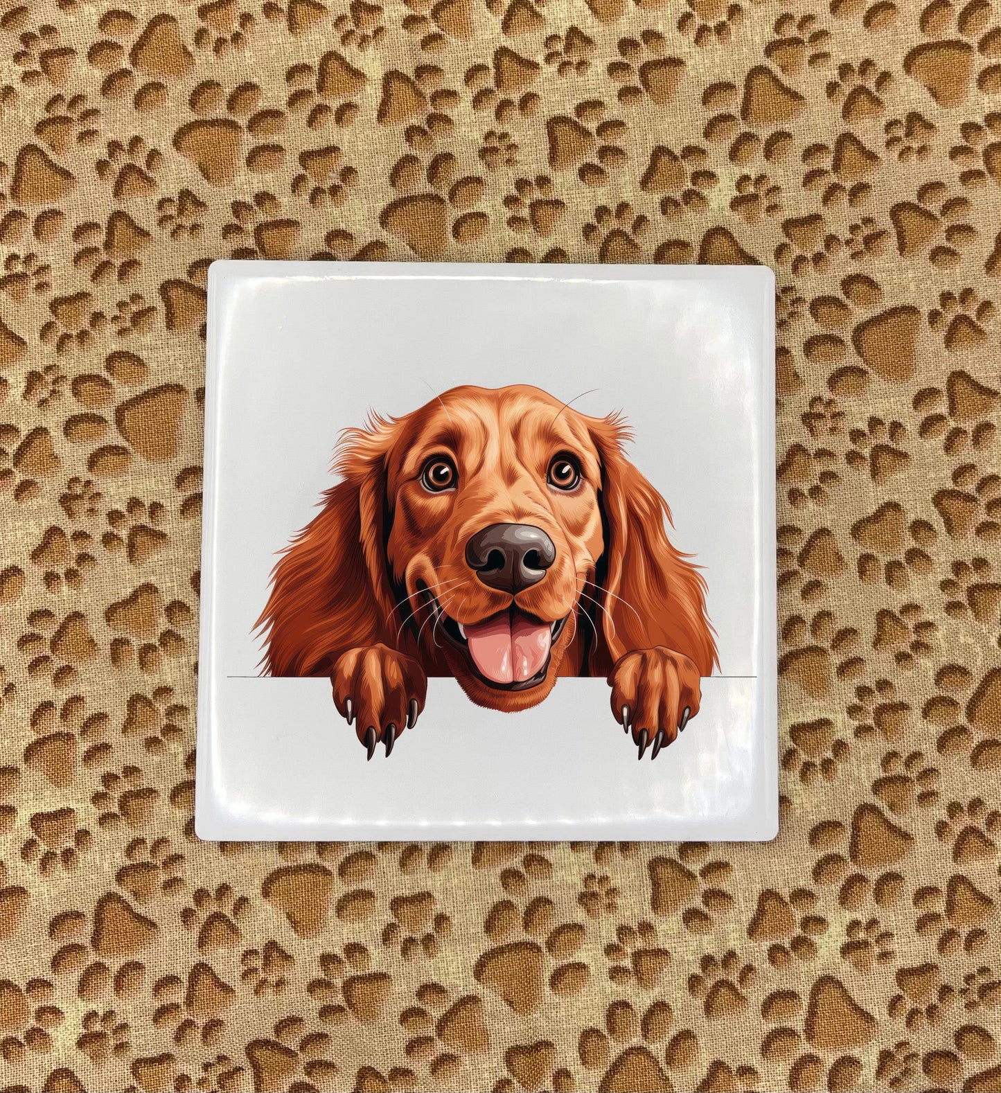 Personalized Dog Coasters - Medium / Large Breed