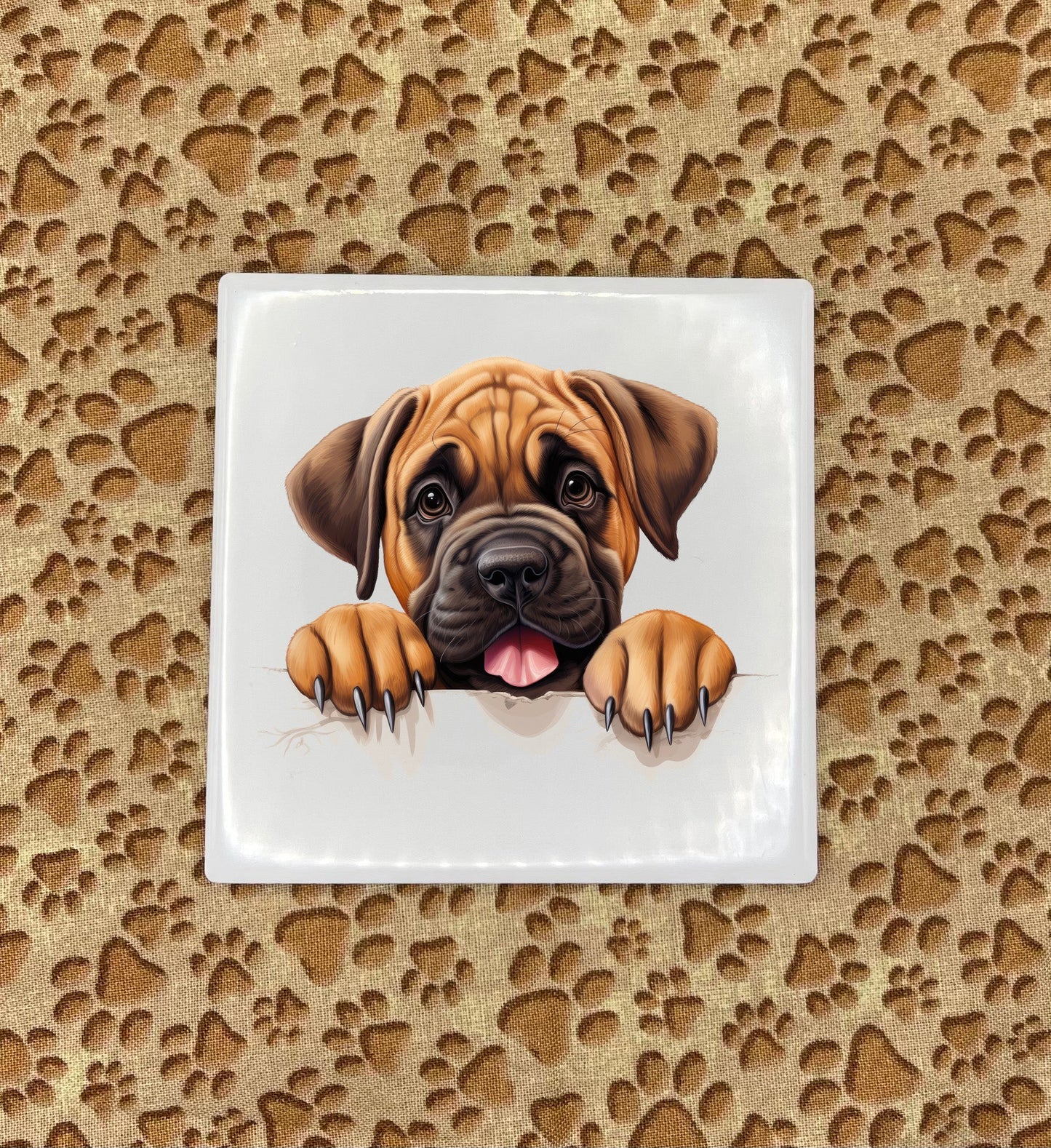 Personalized Dog Coasters - Medium / Large Breed