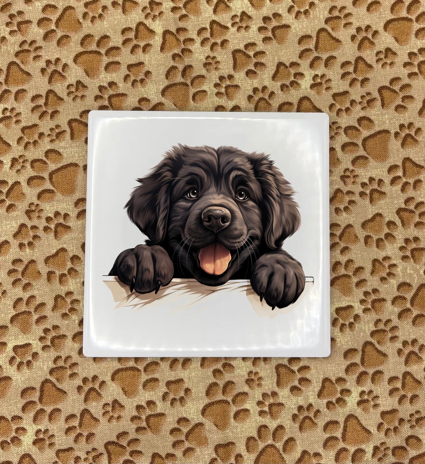 Personalized Dog Coasters - Medium / Large Breed