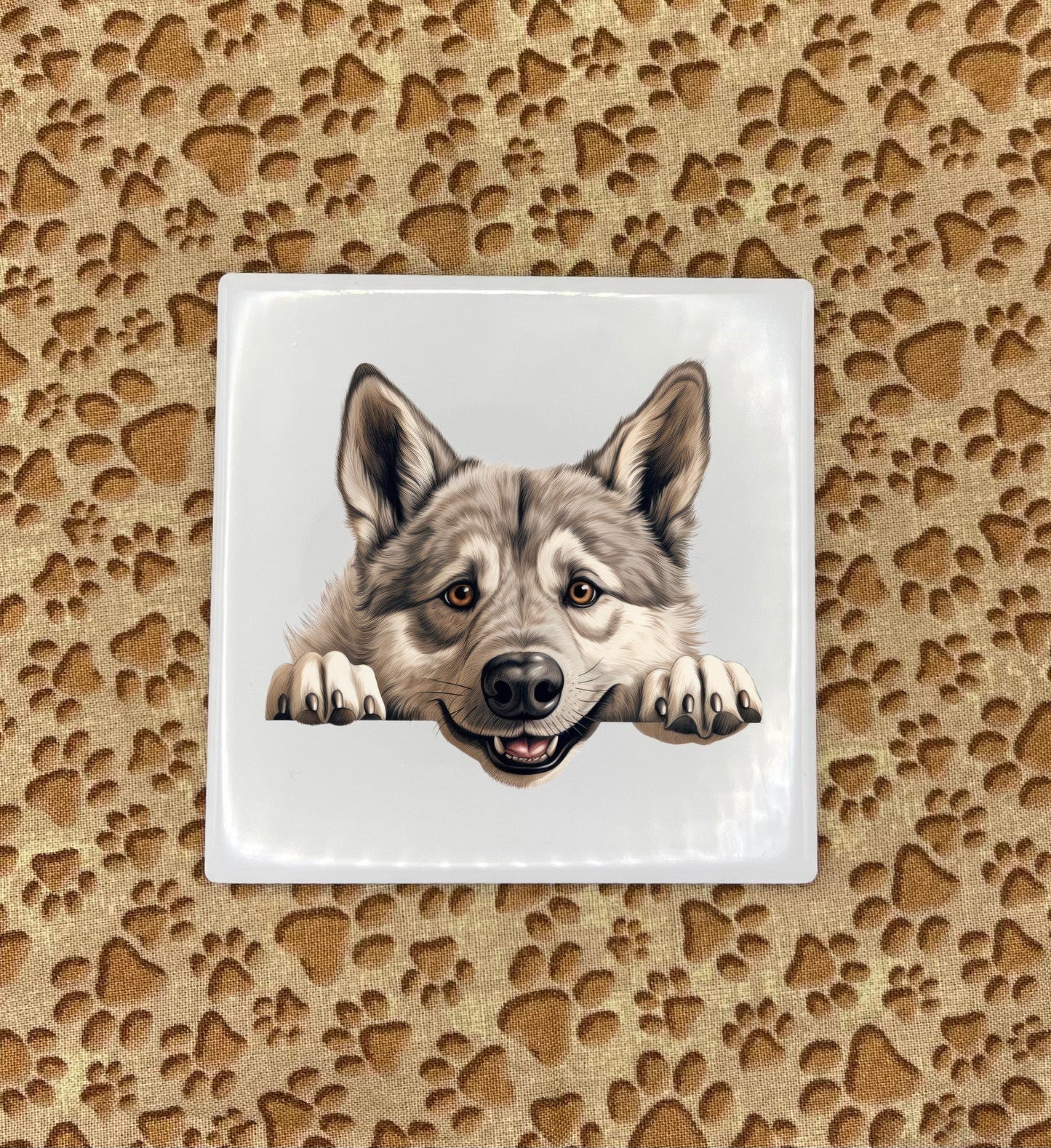 Personalized Dog Coasters - Medium / Large Breed