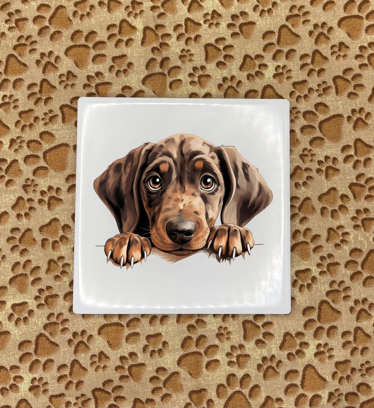 Personalized Dog Coasters - Medium / Large Breed