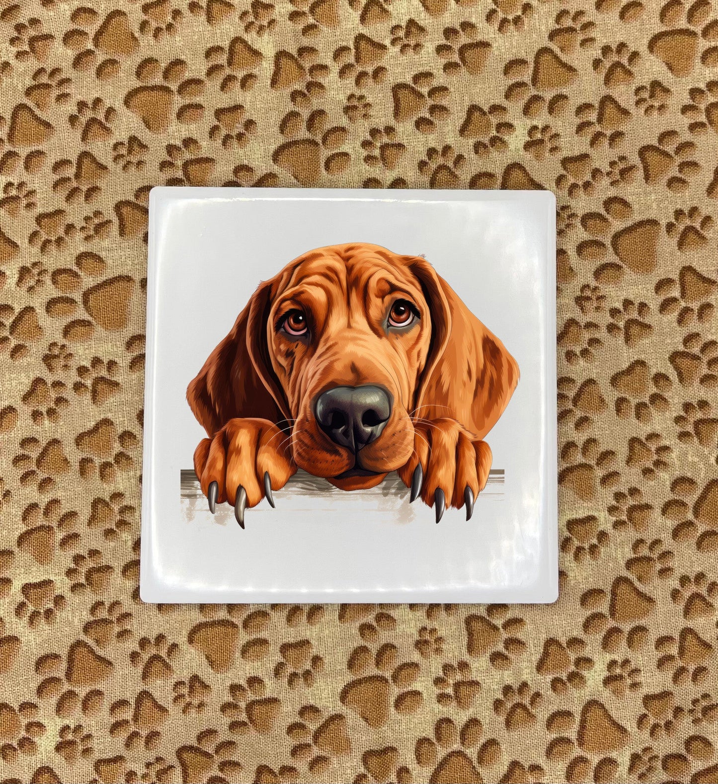 Personalized Dog Coasters - Medium / Large Breed