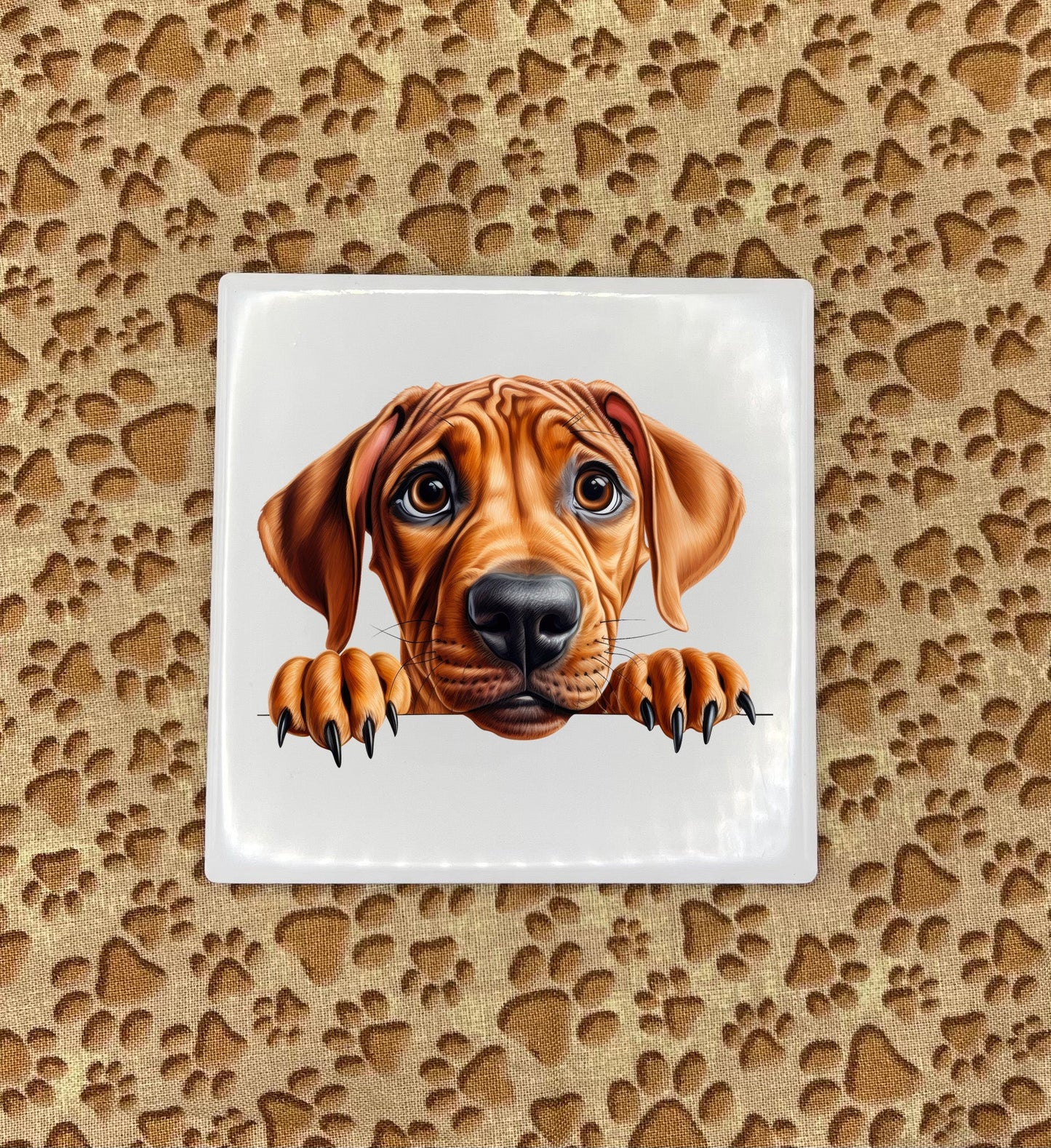 Personalized Dog Coasters - Medium / Large Breed
