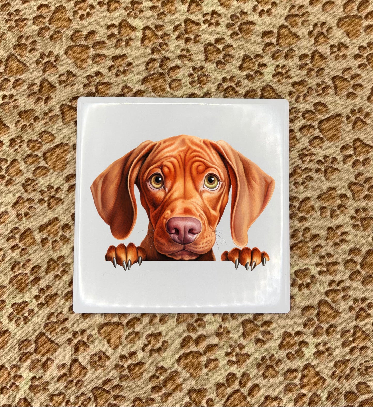 Personalized Dog Coasters - Medium / Large Breed