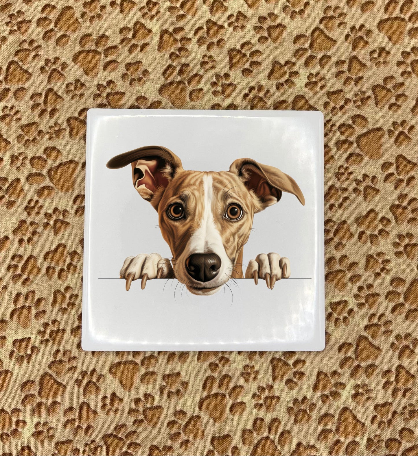 Personalized Dog Coasters - Medium / Large Breed