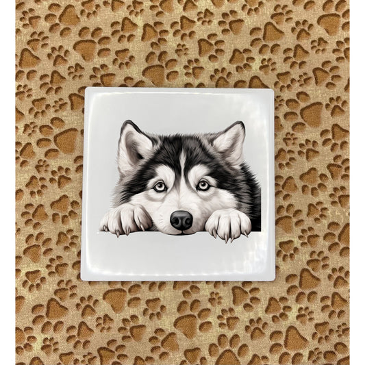 Printed Dog Car Coasters - Small Breed