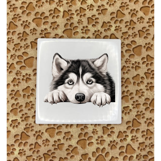 Printed Dog Coasters - Small Breed