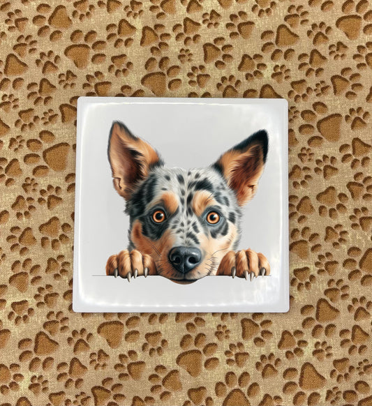 Printed Dog Car Coasters - Medium / Large Breed