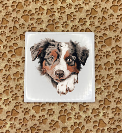 Personalized Dog Coasters - Medium / Large Breed