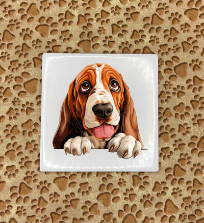 Personalized Dog Coasters - Medium / Large Breed