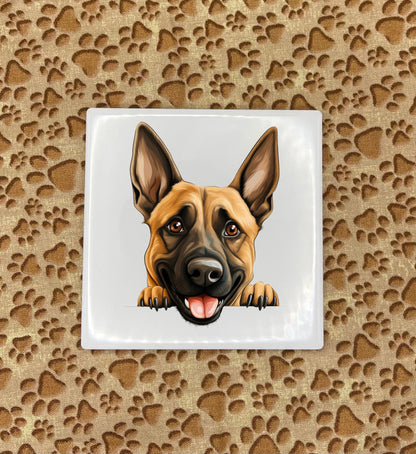 Personalized Dog Coasters - Medium / Large Breed