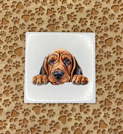 Personalized Dog Coasters - Medium / Large Breed