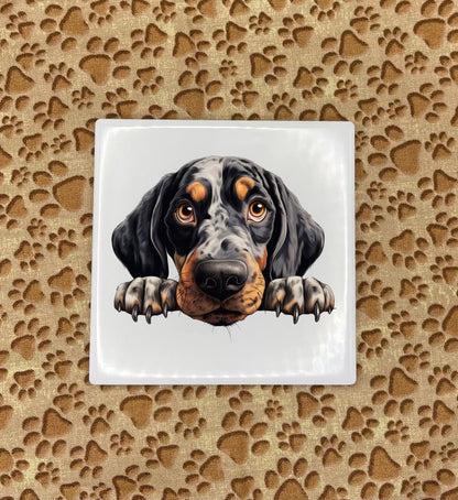 Personalized Dog Coasters - Medium / Large Breed