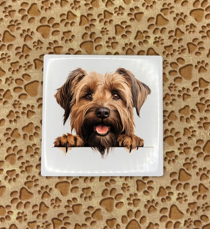 Personalized Dog Coasters - Medium / Large Breed