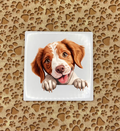 Personalized Dog Coasters - Medium / Large Breed