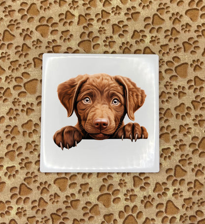 Personalized Dog Coasters - Medium / Large Breed