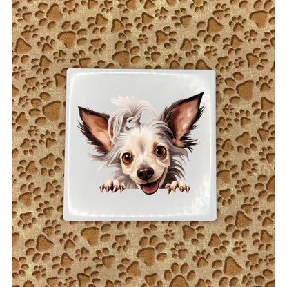 Personalized Dog Coasters - Small Breed