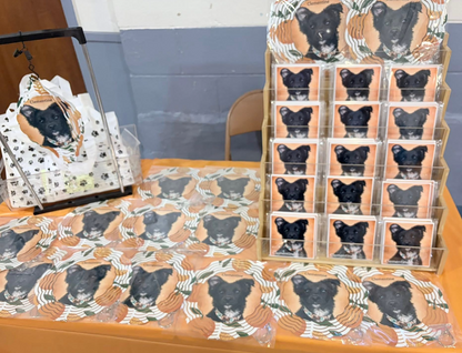 Delco Dawgs Clementine Fundraiser - Printed Wind Spinner