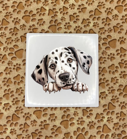 Personalized Dog Coasters - Medium / Large Breed
