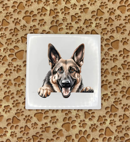 Personalized Dog Coasters - Medium / Large Breed
