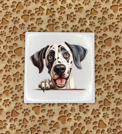 Personalized Dog Coasters - Medium / Large Breed