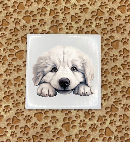 Personalized Dog Coasters - Medium / Large Breed