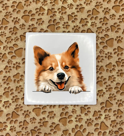 Personalized Dog Coasters - Medium / Large Breed