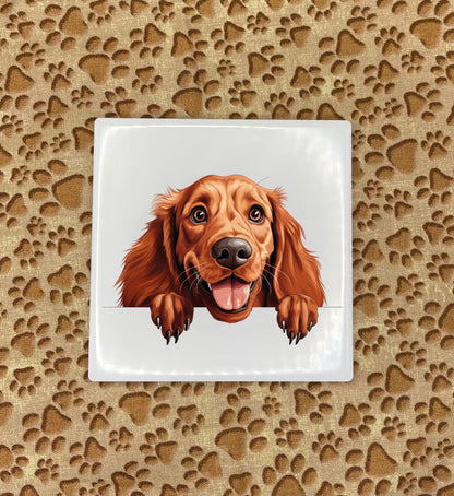 Personalized Dog Coasters - Medium / Large Breed