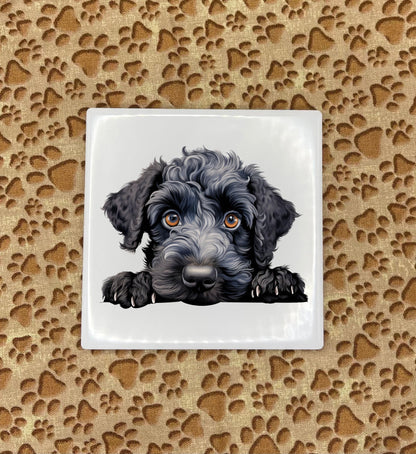 Personalized Dog Coasters - Medium / Large Breed