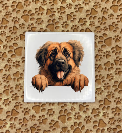 Personalized Dog Coasters - Medium / Large Breed