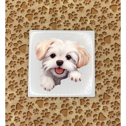 Personalized Dog Coasters - Small Breed