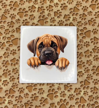 Personalized Dog Coasters - Medium / Large Breed