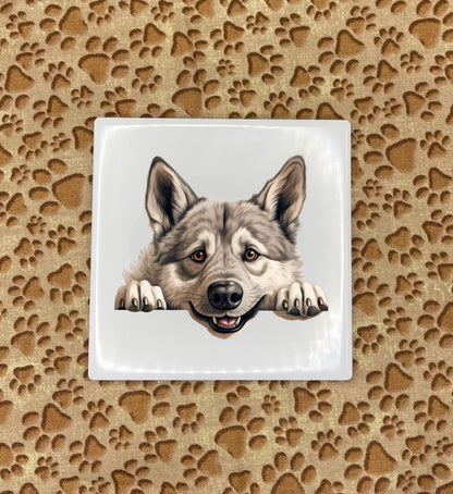 Personalized Dog Coasters - Medium / Large Breed