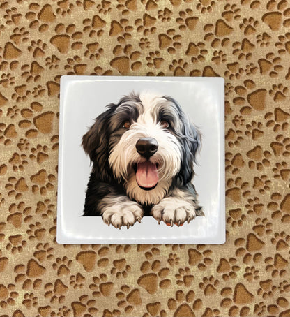 Personalized Dog Coasters - Medium / Large Breed