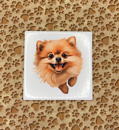 Personalized Dog Coasters - Medium / Large Breed