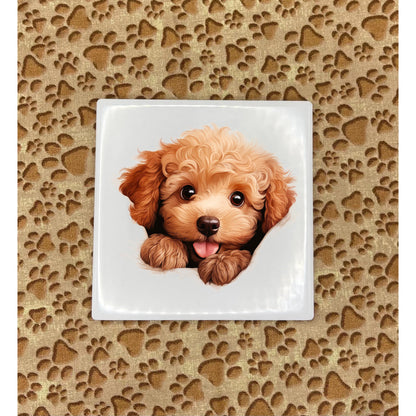 Personalized Dog Coasters - Small Breed