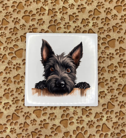 Personalized Dog Coasters - Medium / Large Breed