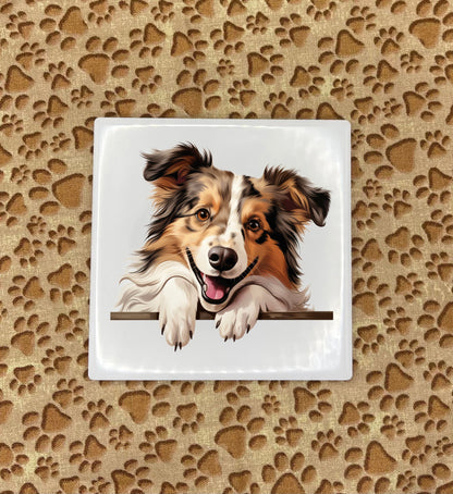 Personalized Dog Coasters - Medium / Large Breed