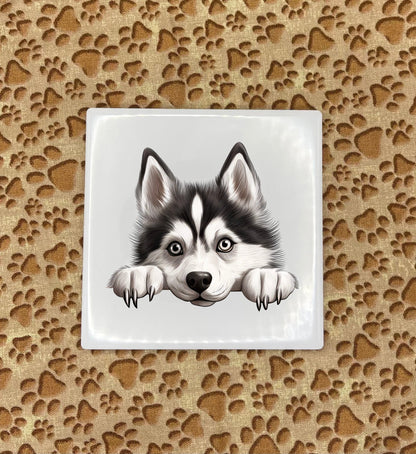Personalized Dog Coasters - Medium / Large Breed