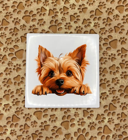 Personalized Dog Coasters - Medium / Large Breed