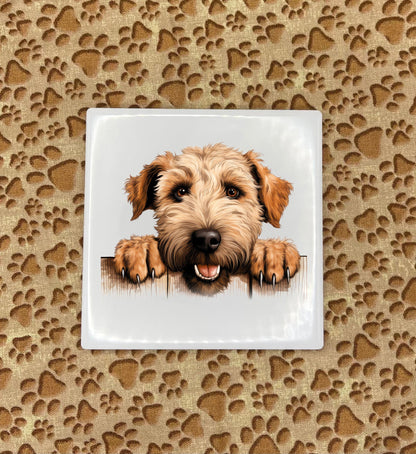 Personalized Dog Coasters - Medium / Large Breed